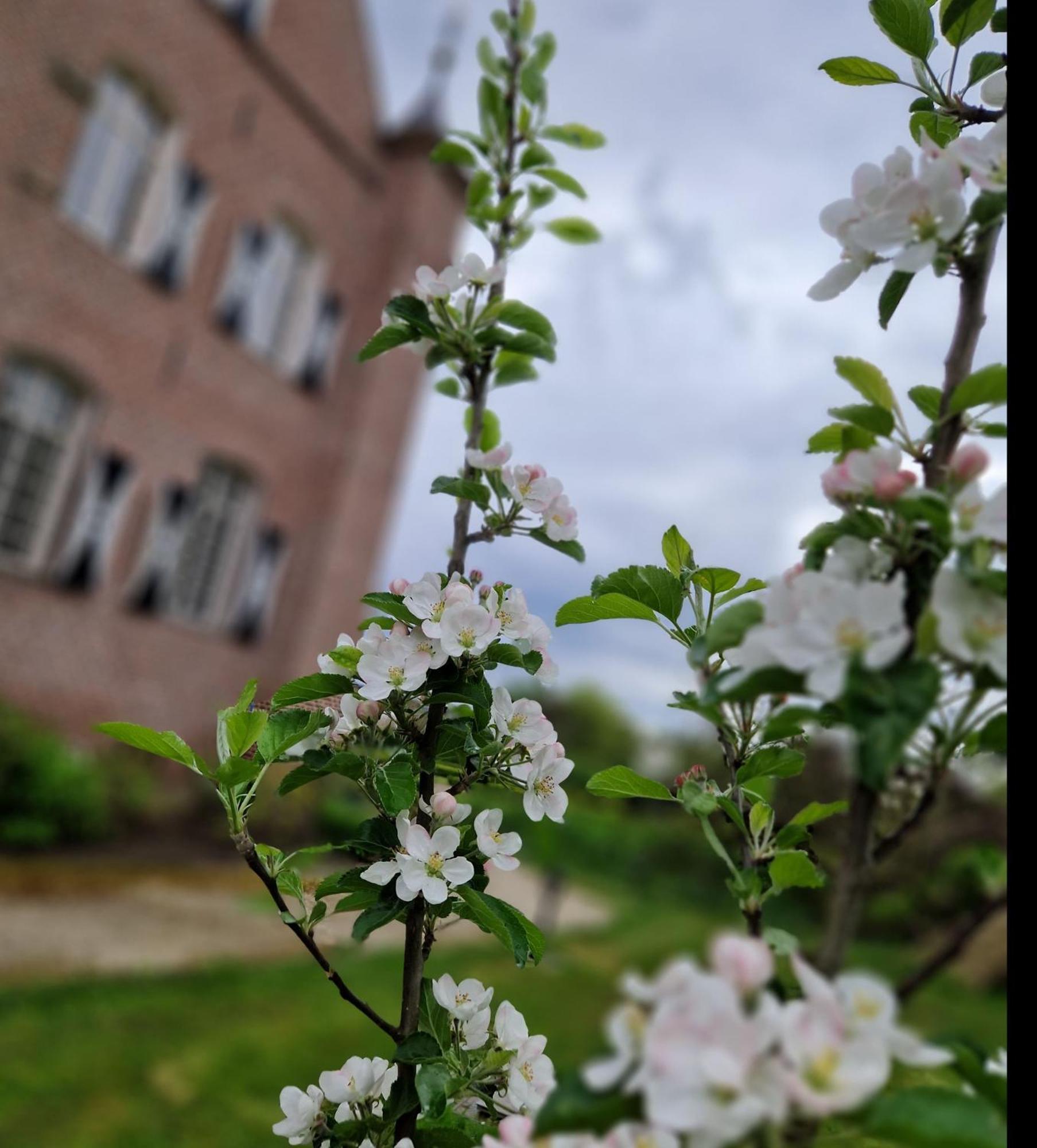 Bed and Breakfast Kasteel Aldenghoor Haelen Exterior foto